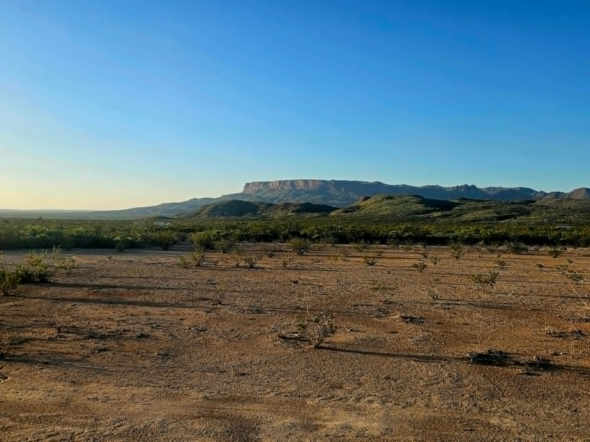 Chihuahuan desert with the Chisos mountains at golden hour
